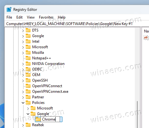 Google Chrome Policy Registry Path