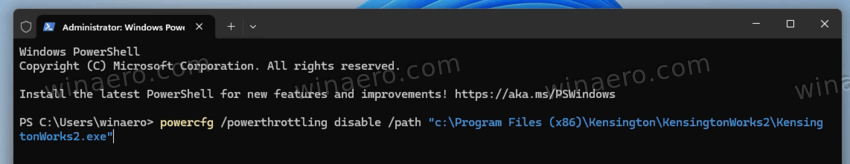 Powercfg Disable Power Throttling For Specific App