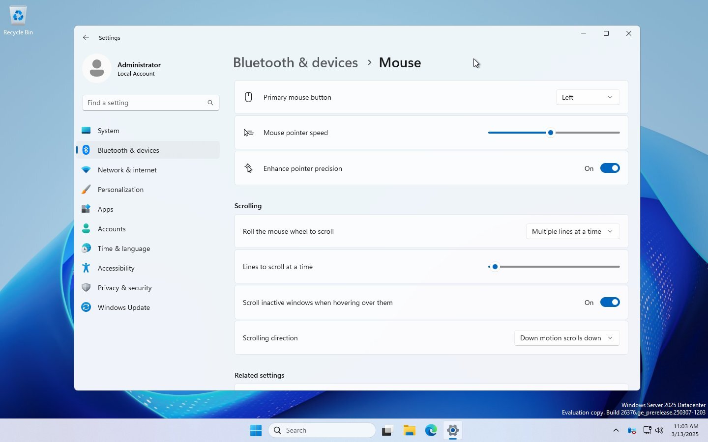 Mouse Options In Windows 11 Settings 01