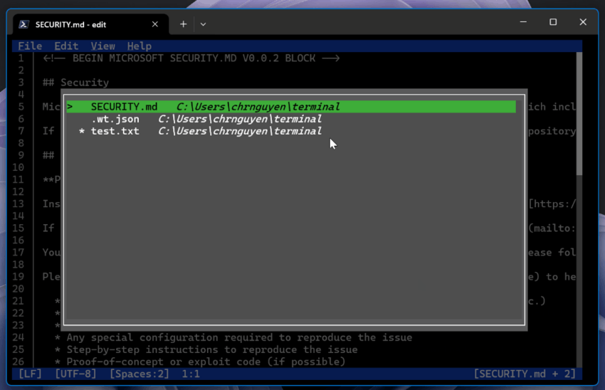 Microsoft Edit Console Editor App Multi Document Support