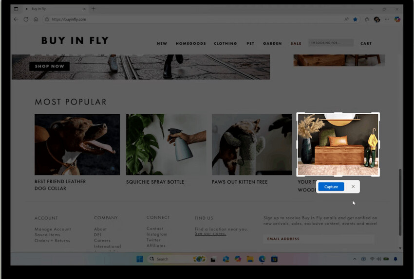 Snipping Tool Precise Screenshots
