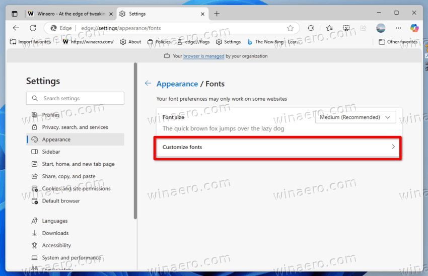 Click Customize Fonts