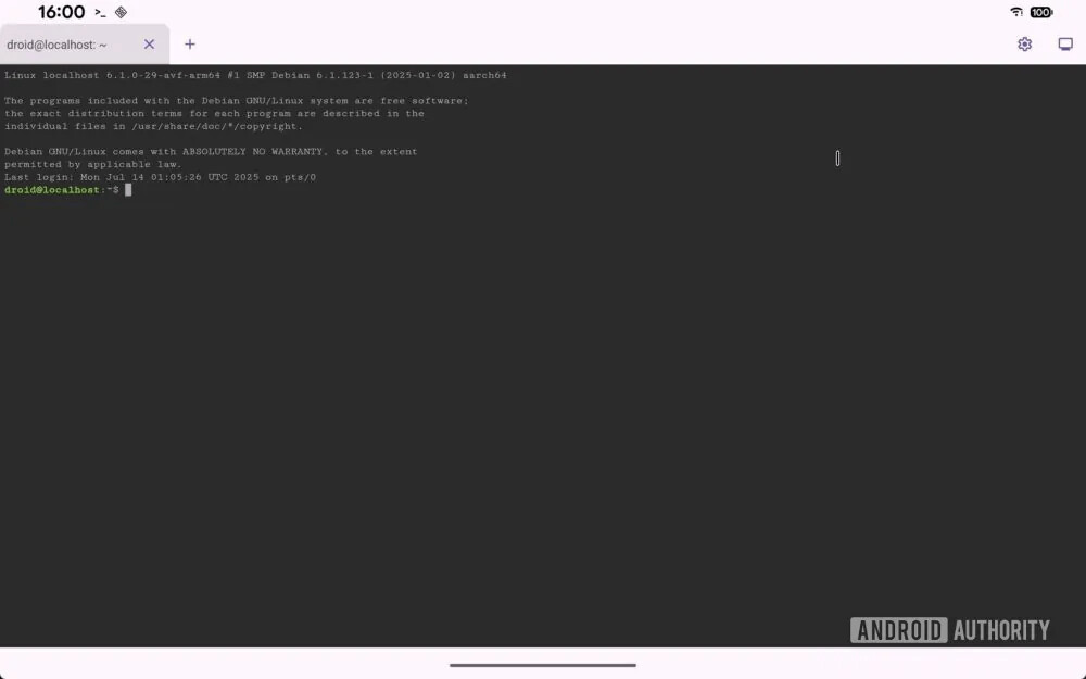 Linux Terminal App Display Button