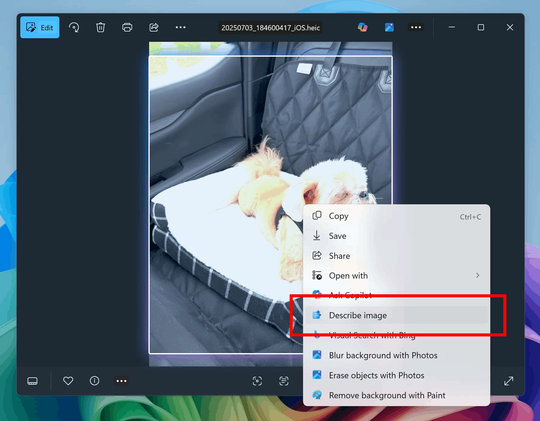 C2d Describe Image1