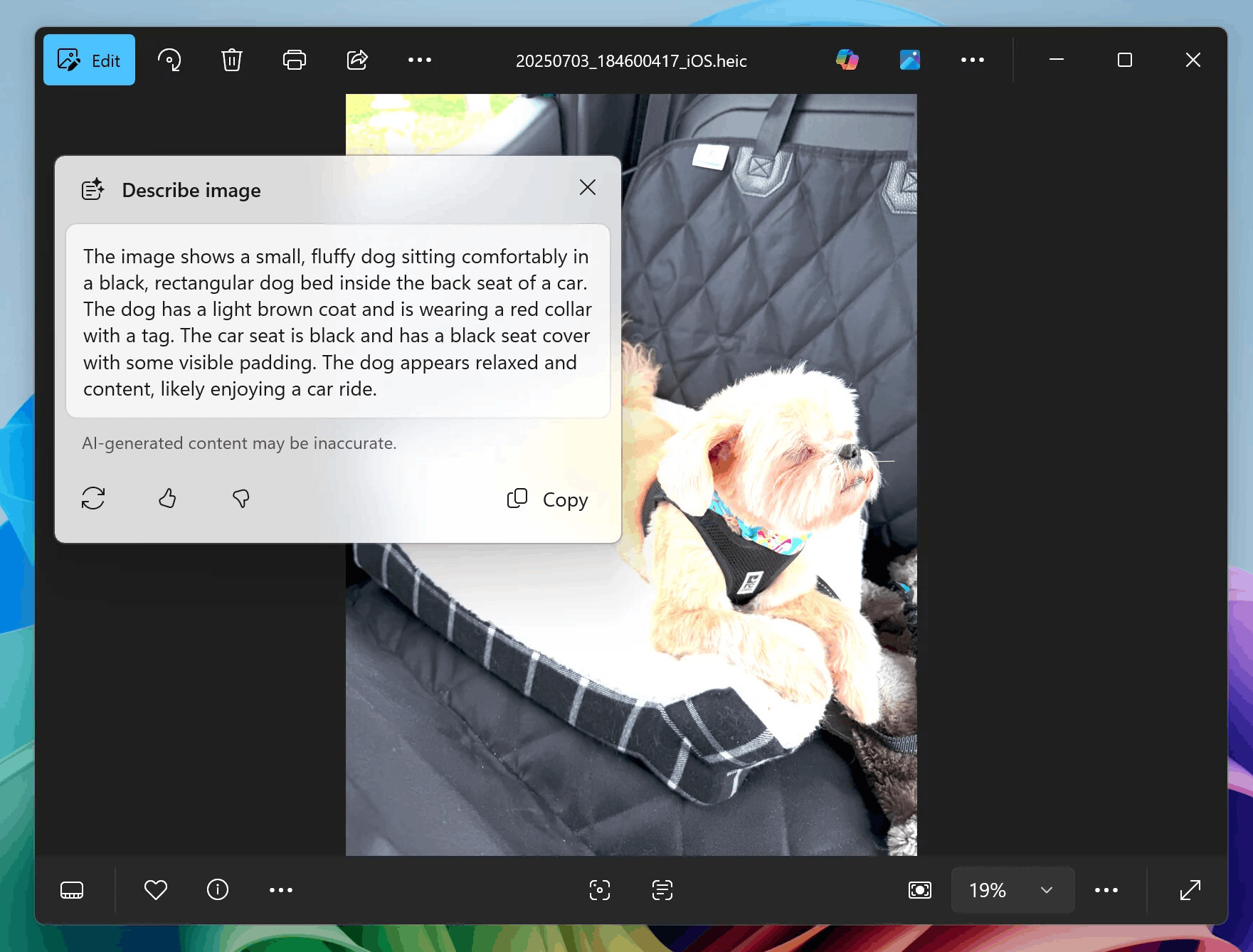 C2d Describe Image2