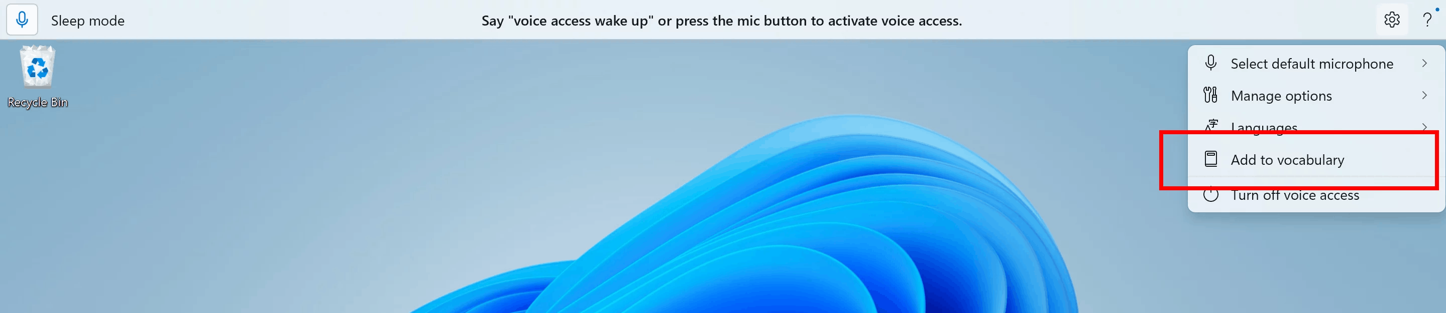 Voice Access Add Vocab Settings