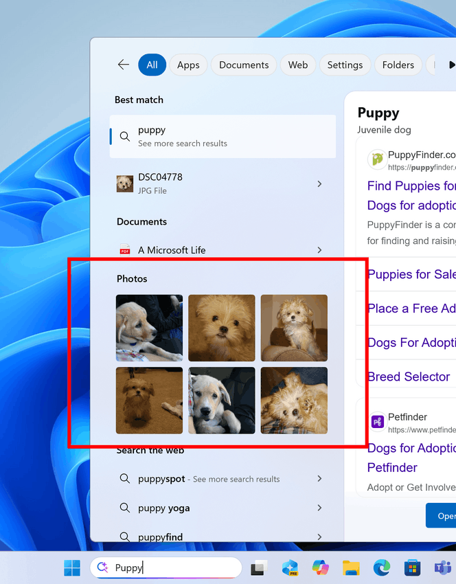 Windows Search Results Images Grid