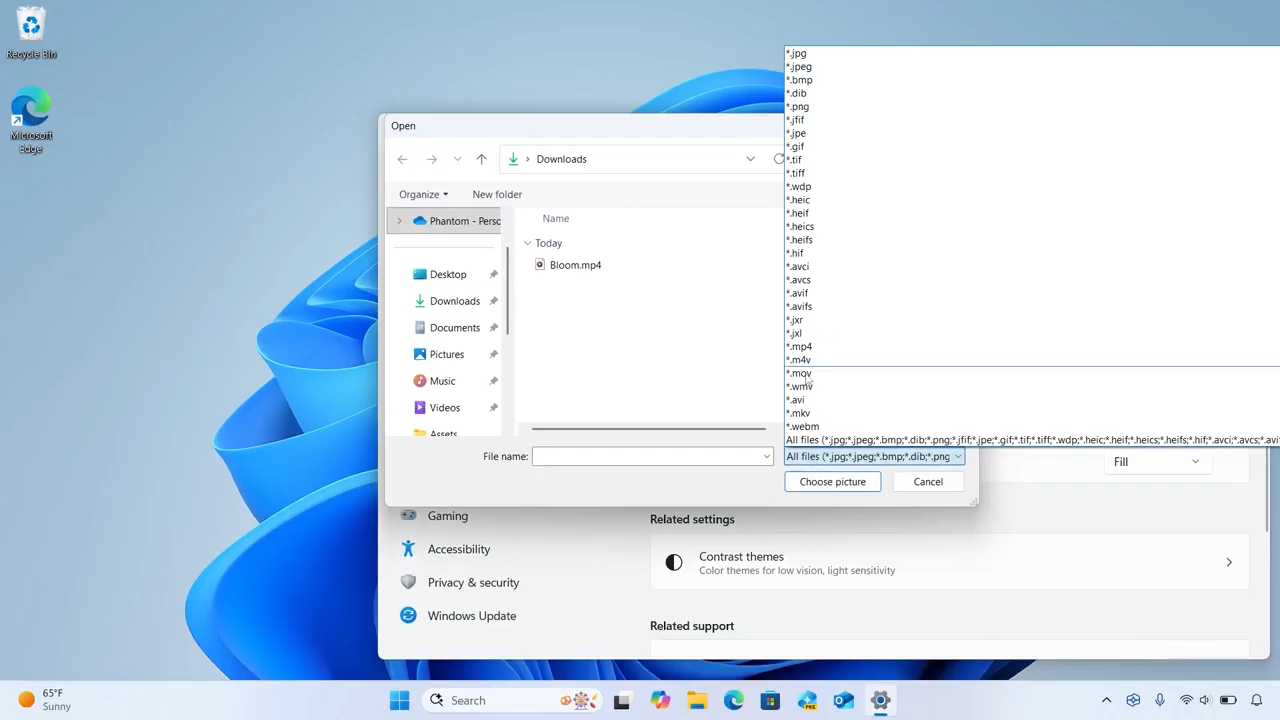 Video As Wallpaper Selection Dialog