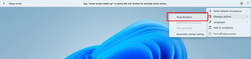 Voice Access Fluid Dictation