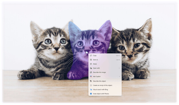 c2d Click To Do SubImage Selection