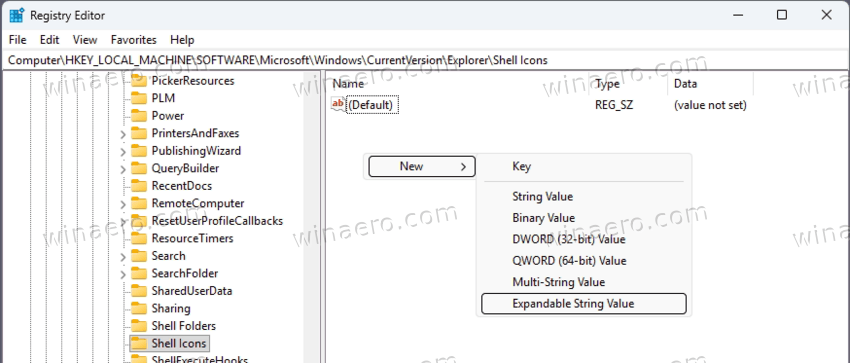 Shell Icons Key New Expandable String Value
