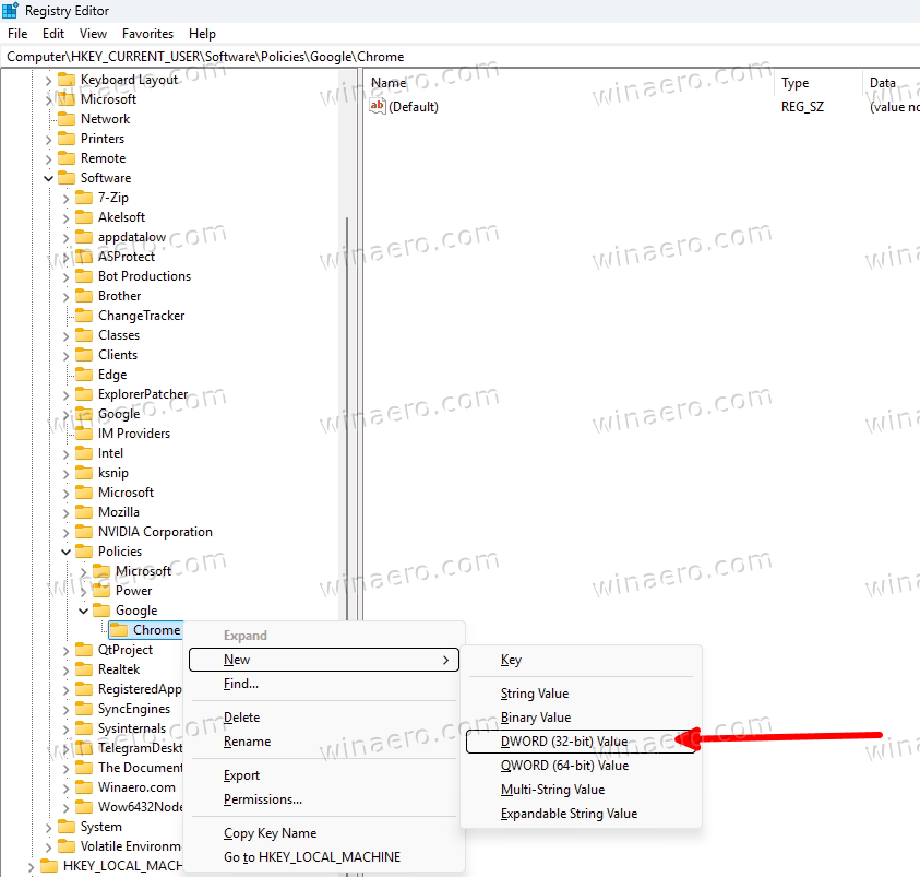 Chrome Policies Registry Branch