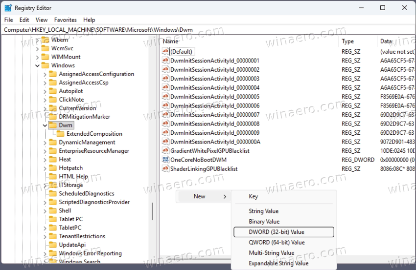 New DWORD Under DWM Key