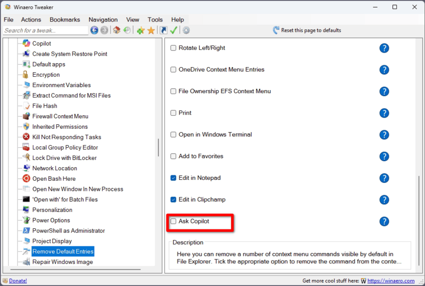 Wt Ask Copilot Option